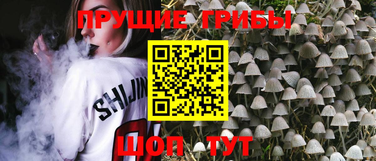 Псилоцибиновые грибы Cubensis Красный Сулин